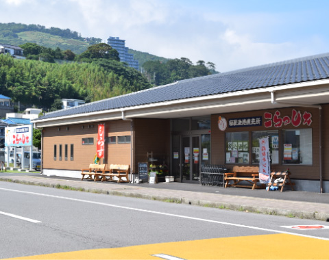 ��拙�`���������������