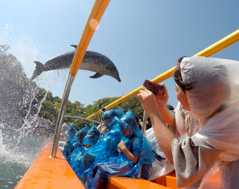 ���c�C��������