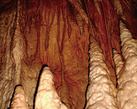 ���ߓ���