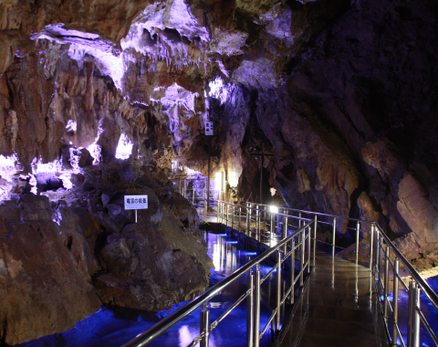 ��ˑ�ߓ������勴�R���N�V������