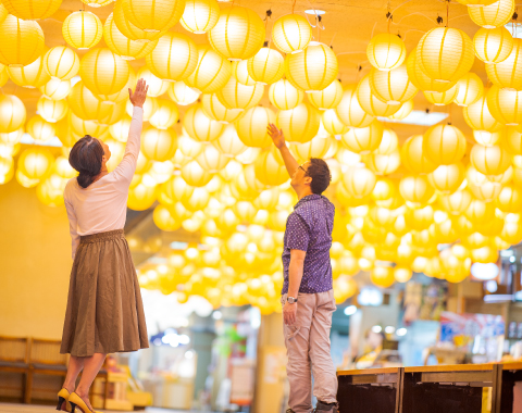 �ɐ��v�w��߂��Ɖ���