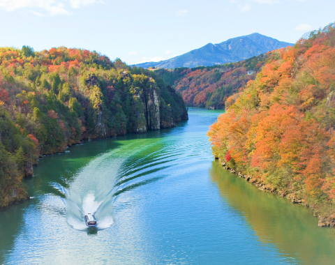 �b�ߋ��V���D